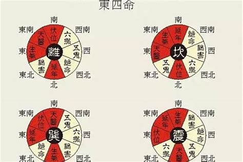 东四命西四命算法|善韵缘｜何为东四命、西四命？怎么算？看这一篇就够 